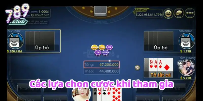 Các lựa chọn cược khi tham gia
